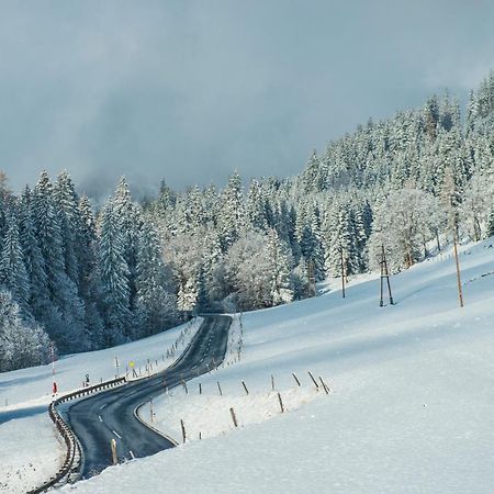 Ferienbauernhof Elmaugut Villa Mühlbach am Hochkönig Kültér fotó