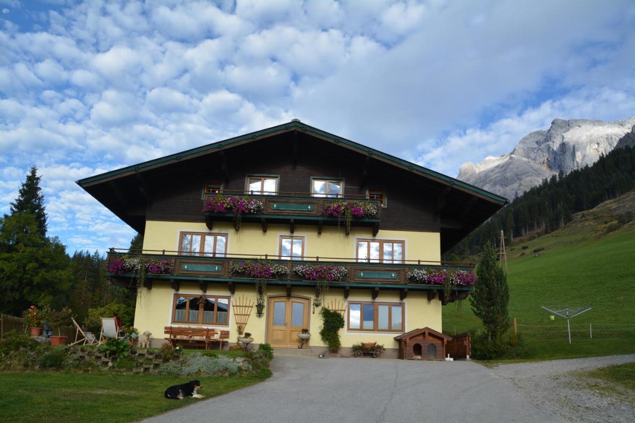 Ferienbauernhof Elmaugut Villa Mühlbach am Hochkönig Kültér fotó
